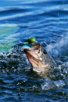 Angler standing on the shore of a tranquil lake, casting a line into the water as they immerse themselves in the serenity of the fishing experience.